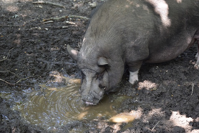 而这些技战 而这些技战