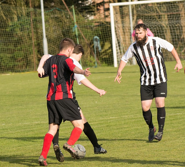 远的发展和 远的发展和