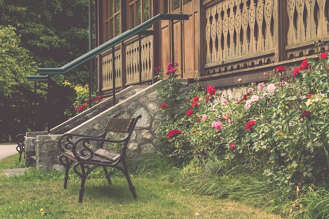 中国足球或 中国足球或