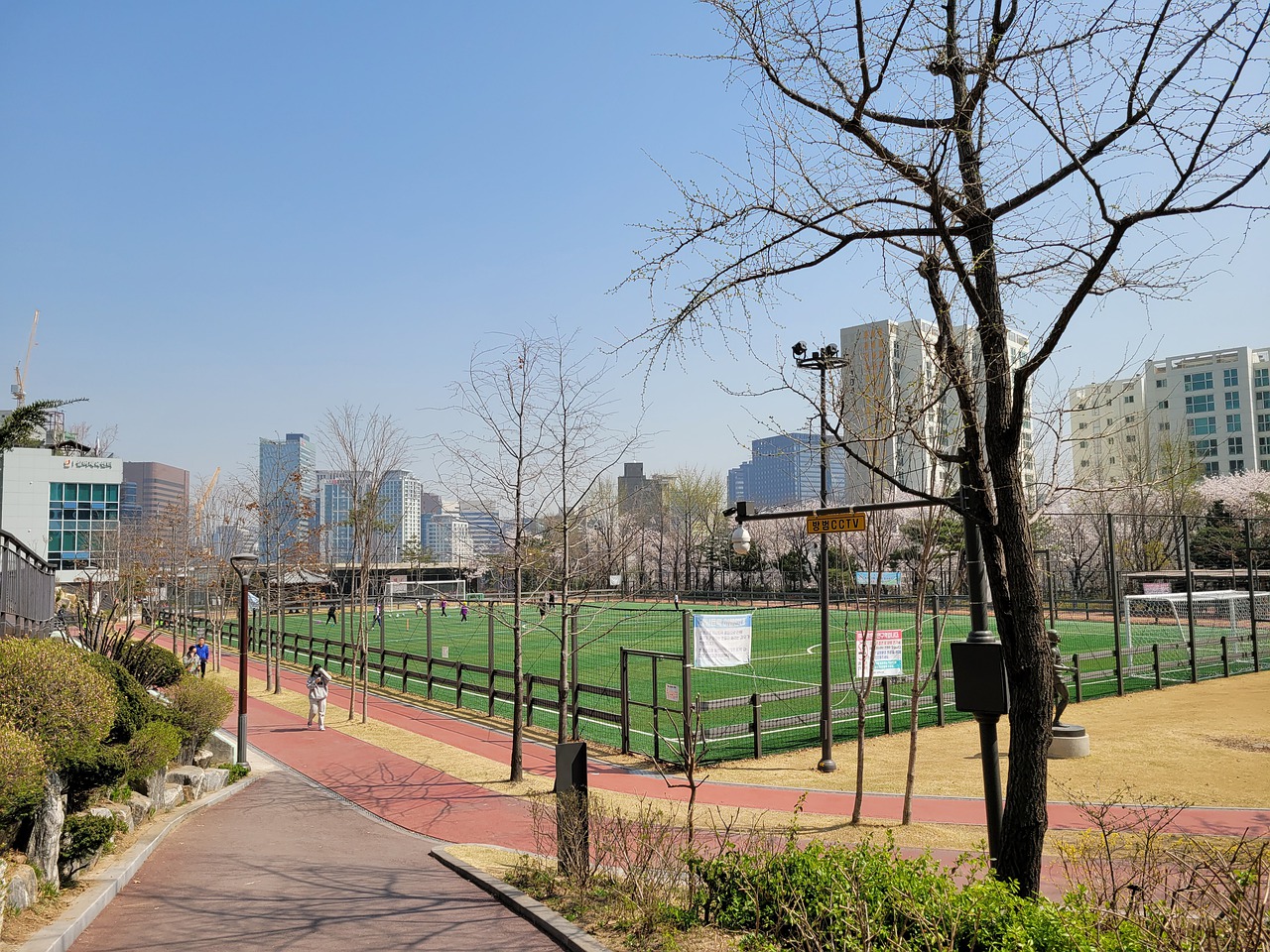 能否顺利成 能否顺利成